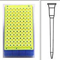 Pipet and Syringe Supplies Pipet and Syringe Supplies