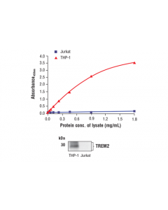 Cell Signaling Fastscan Total Trem2 Elisa Kit