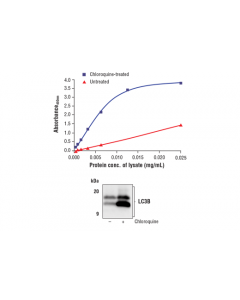 Cell Signaling Fastscan Total Lc3b Elisa Kit