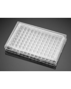Corning Falcon 96 Well Polystyrene Feeder Tray, with Lid, Sterile, 5/CS
