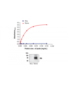 Cell Signaling Fastscan Total Btk Elisa Kit