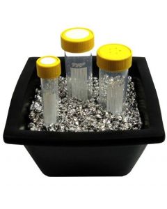 Shel Lab Walkabout Tray With Beads