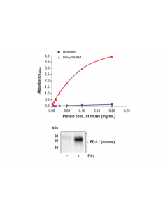 Cell Signaling Fastscan Total Pd-L1 Elisa Kit (Mouse Preferred)
