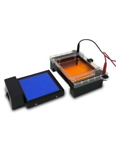 Benchmark Scientific Mygel Instaview Gel Tank With green Led Illuminator