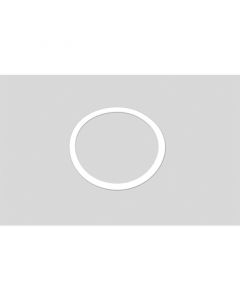 Benchmark Scientific Gasket, 50ml Grinding Jar, Ea