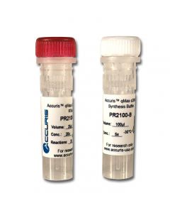 Benchmark Scientific Accuris Qmax Cdna Synthesis Kit, 25 Reactions