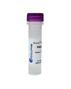 Benchmark Scientific 40mm Dntp Mix (10mm/20µmol Each), 0.5ml
