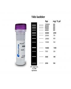 Benchmark Scientific Accuris Smartcheck 1kb Dna Ladder, 500ul / 100 Lanes