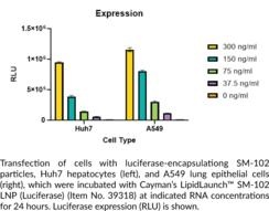 Cayman LipidLaunch™ LNP SM-102 (Luciferase)