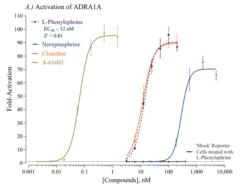 Cayman Human Adrenoceptor Alpha 1A Reporter Assay System
