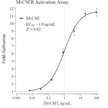 Cayman Human Macrophage Colony-Stimulating Factor Receptor Reporter Assay System