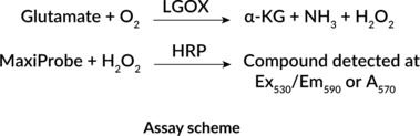 Cayman Glutamate Colorimetric/Fluorometric Assay Kit