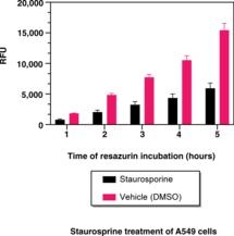 Cayman Resazurin Cell Viability Assay Kit