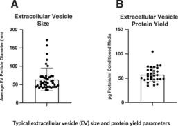 Cayman Extracellular Vesicle Isolation Kit (Tissue Culture)