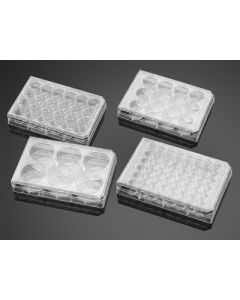 Corning Life Sciences