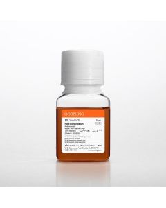 Corning Fetal Bovine Serum, 50 mL, Regular, USDA Approved Origin (Heat Inactivated)