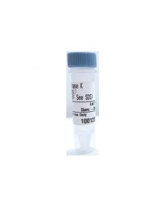 Cell Signaling Proteinase K (20 Mg/Ml)