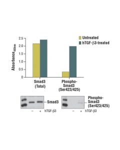 Cell Signaling Pathscan Total Smad3 Sandwich Elisa Kit