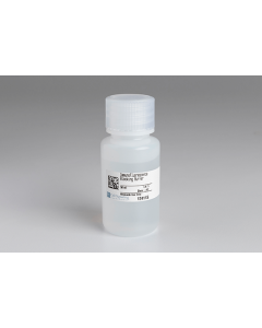 Cell Signaling Immunofluorescence Blocking Buffer