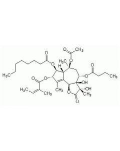 Cell Signaling Thapsigargin