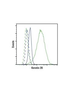 Cell Signaling Keratin 20 (D9z1z) Xp Rabbit mAb