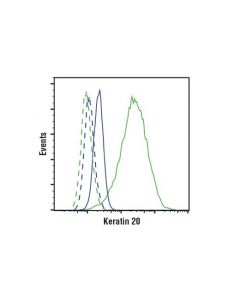 Cell Signaling Keratin 20 (D9z1z) Xp Rabbit mAb