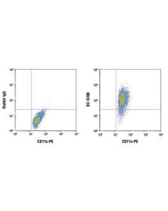 Cell Signaling Dc-Sign (D7f5c) Xp Rabbit mAb