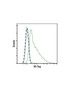 Cell Signaling V5-Tag (D3h8q) Rabbit mAb