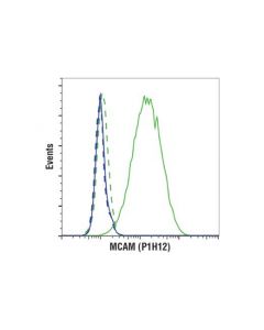 Cell Signaling Mcam (P1h12) Mouse mAb