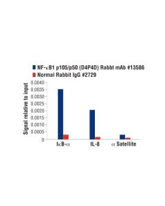 Cell Signaling Nf-Kappab1 P105/P50 (D4p4d) Rabbit mAb