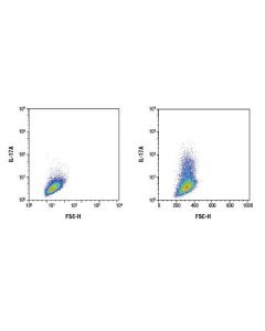 Cell Signaling Il-17a (D1x7l) Rabbit mAb (Mouse Specific)