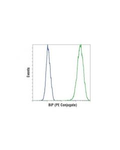 Cell Signaling Bip (C50b12) Rabbit mAb (Pe Conjugate)