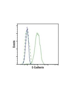 Cell Signaling E-Cadherin (4a2) Mouse mAb