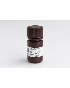 Cell Signaling Animal-Free Blocking Solution (5x)