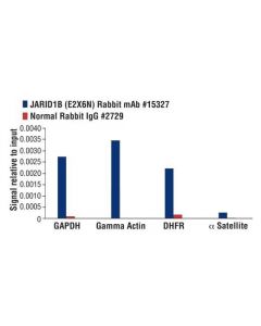 Cell Signaling Jarid1b (E2x6n) Rabbit mAb