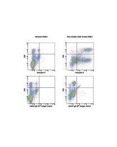 Cell Signaling Granzyme B (D2h2f) Rabbit mAb