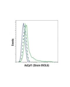 Cell Signaling Ascpf1 (Strain Bv3l6 ) (E1u7c) Rabbit mAb