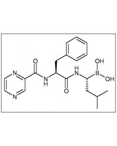 Cell Signaling Bortezomib