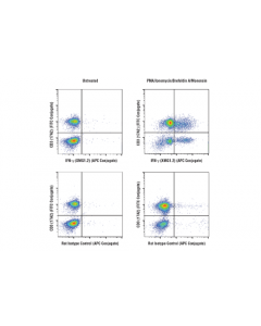 Cell Signaling Cell Stimulation Cocktail (With Protein Transport Inhibitors) (500x)