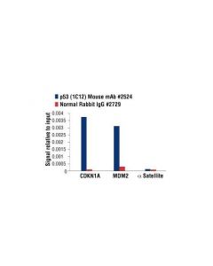 Cell Signaling P53 (1c12) Mouse mAb
