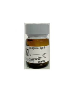 Cell Signaling Collagenase, Type 3