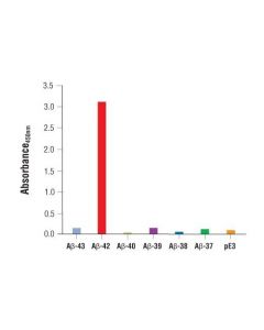 Cell Signaling Pathscan Beta-Amyloid (1-42) Sandwich Elisa Kit