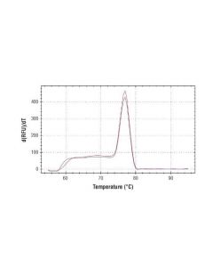 Cell Signaling Simplechip Mouse Sla2 Promoter Primers