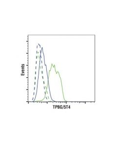 Cell Signaling Tpbg/5t4 (E4t8q) Rabbit mAb