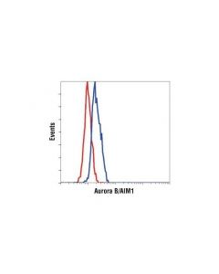 Cell Signaling Aurora B/Aim1 Antibody