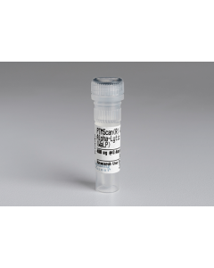 Cell Signaling Ptmscan Wild Type Alpha-Lytic Protease (Walp)