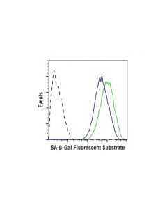 Cell Signaling Senescence Beta-Galactosidase Activity Assay Kit (Fluorescence, Flow Cytometry)
