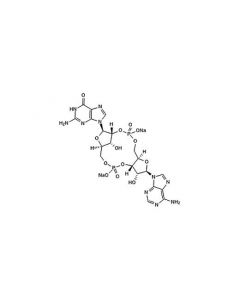 Cell Signaling 2’,3’-Cgamp (Sodium Salt)