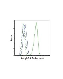 Cell Signaling Acetyl-Coa Carboxylase (C83b10) Rabbit mAb