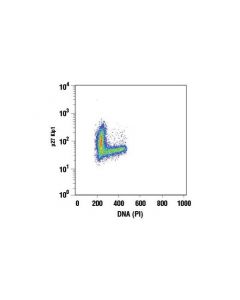 Cell Signaling P27 Kip1 (D69c12) Xp Rabbit mAb